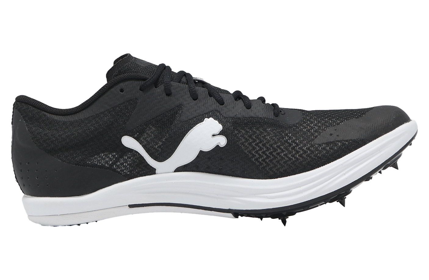 Puma EvoSPEED Long Distance Black / White