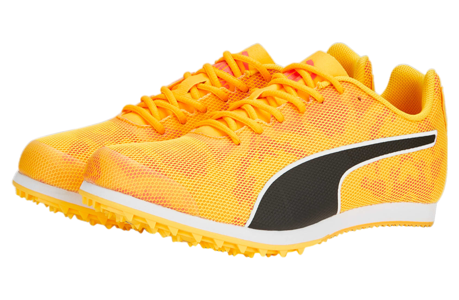 Puma Evospeed Star 8 GS Sun Stream / Sunset Glow