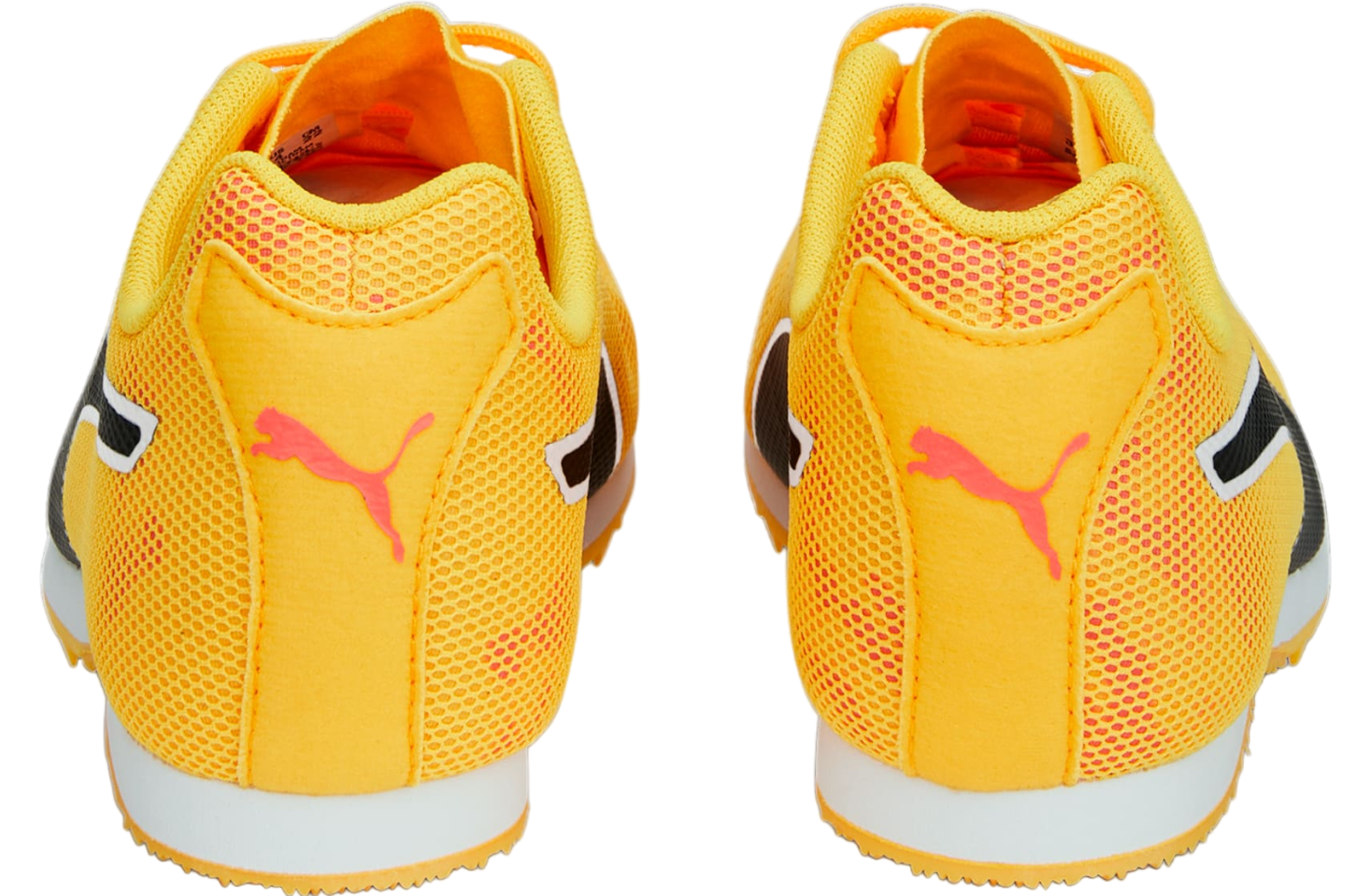 Puma Evospeed Star 8 GS Sun Stream / Sunset Glow