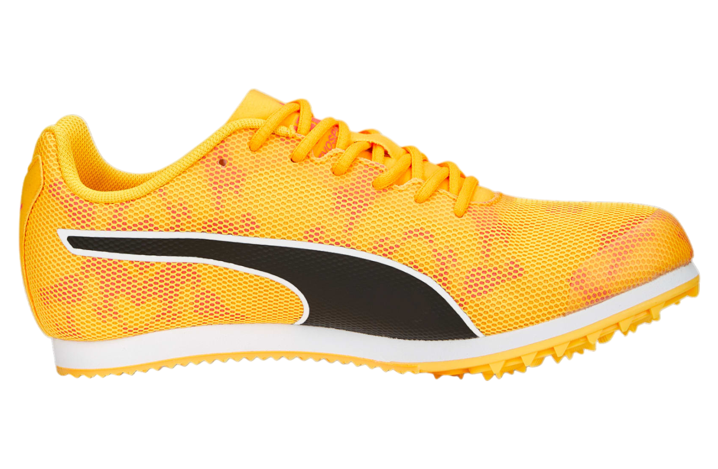 Puma Evospeed Star 8 GS Sun Stream / Sunset Glow