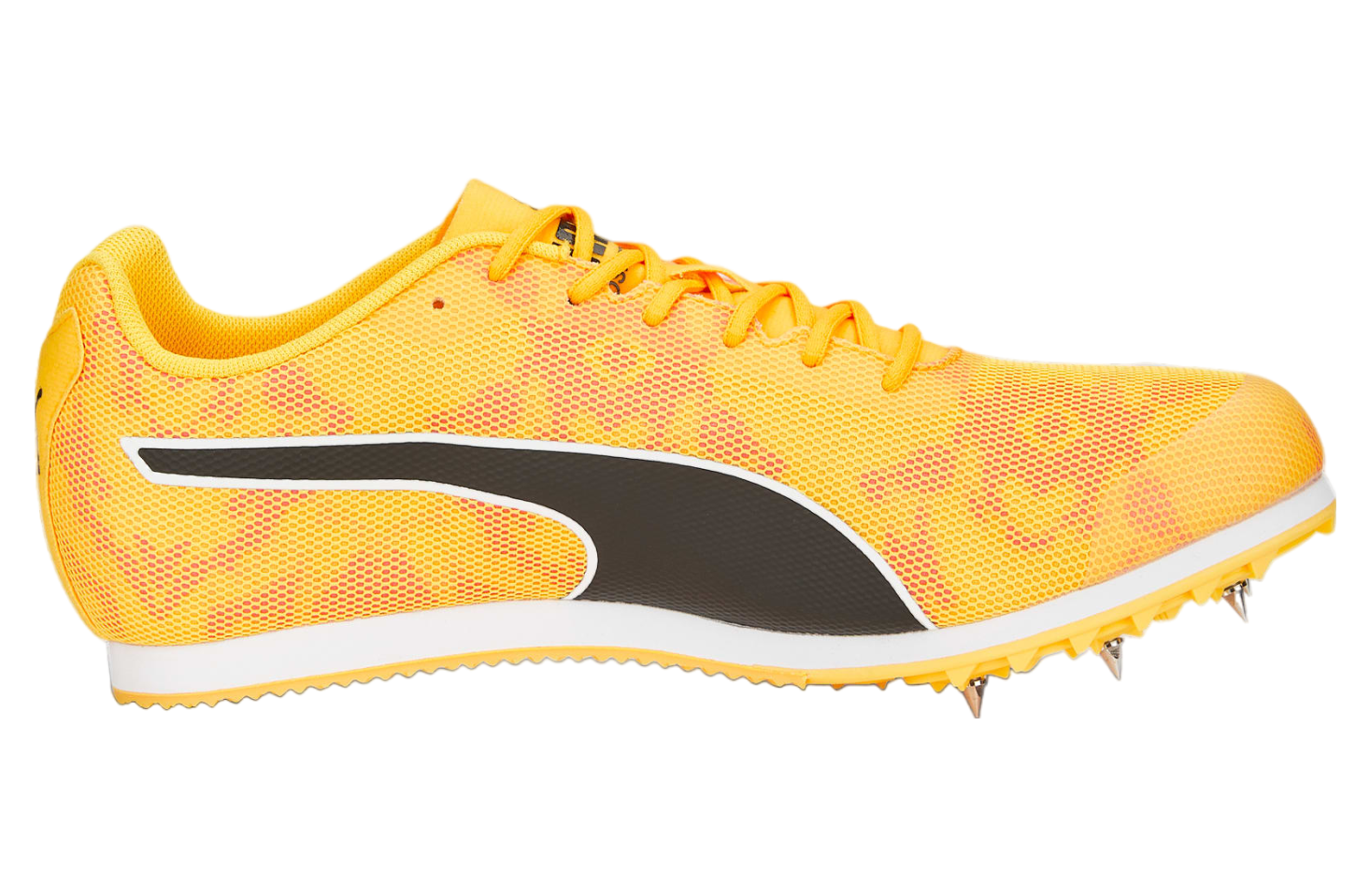 Puma Evospeed Star 8 Track Spikes Sun Stream / Sunset Glow