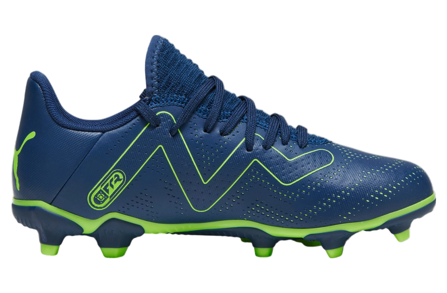 Puma Future Play FG/AG Persian Blue / Pro Green