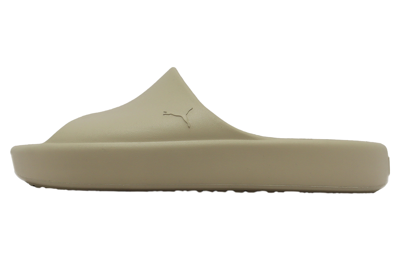 Puma Shibui Cat Birch Tree
