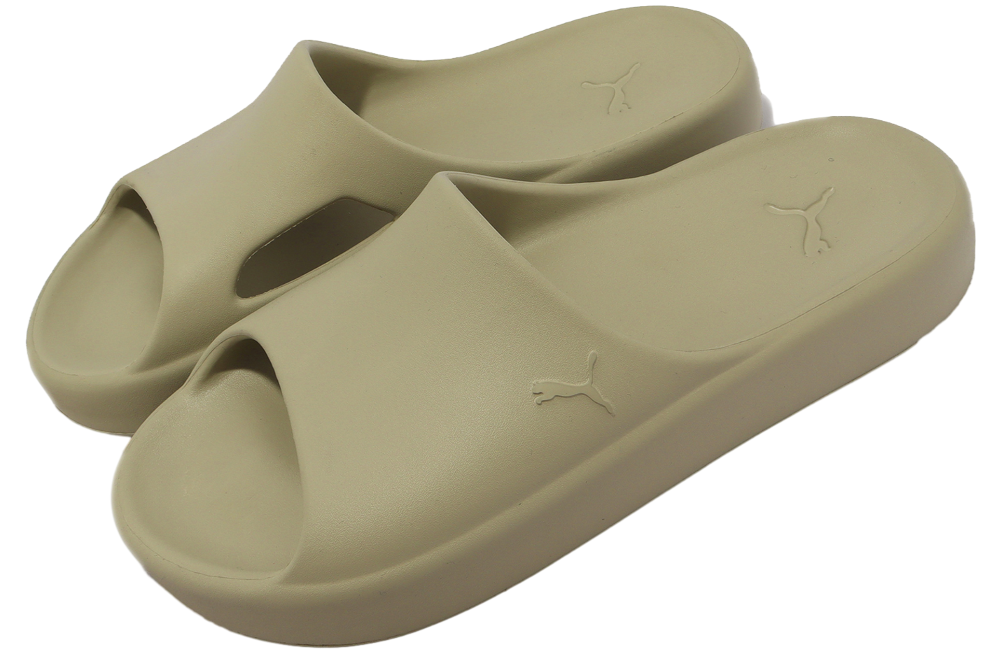 Puma Shibui Cat Birch Tree