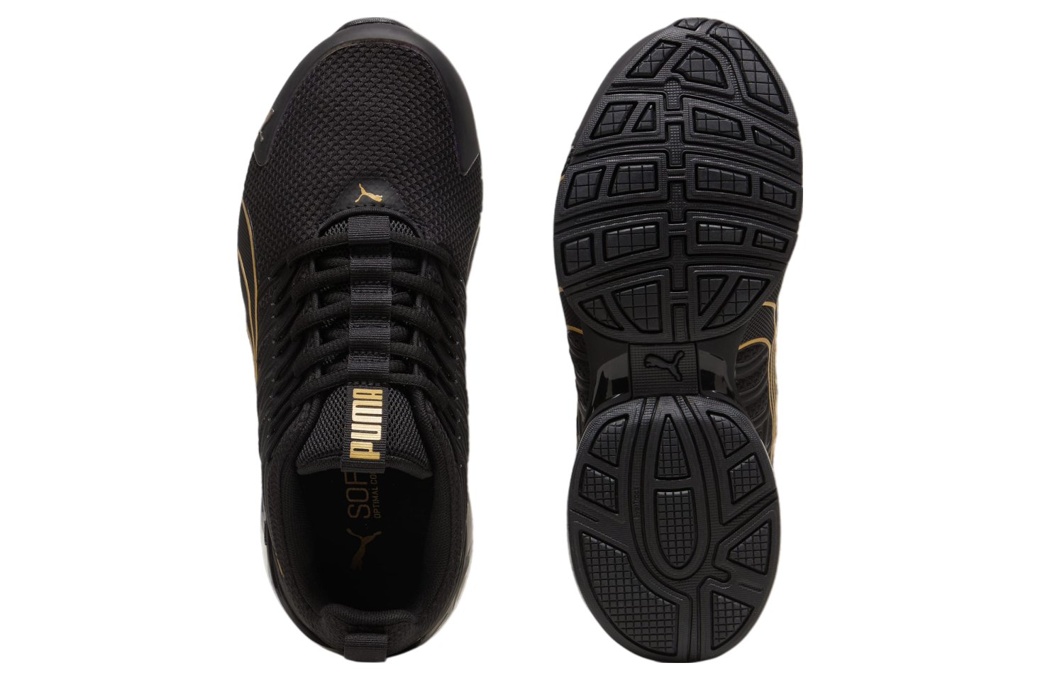 Puma Voltaic Evo WMNS Black / Gold