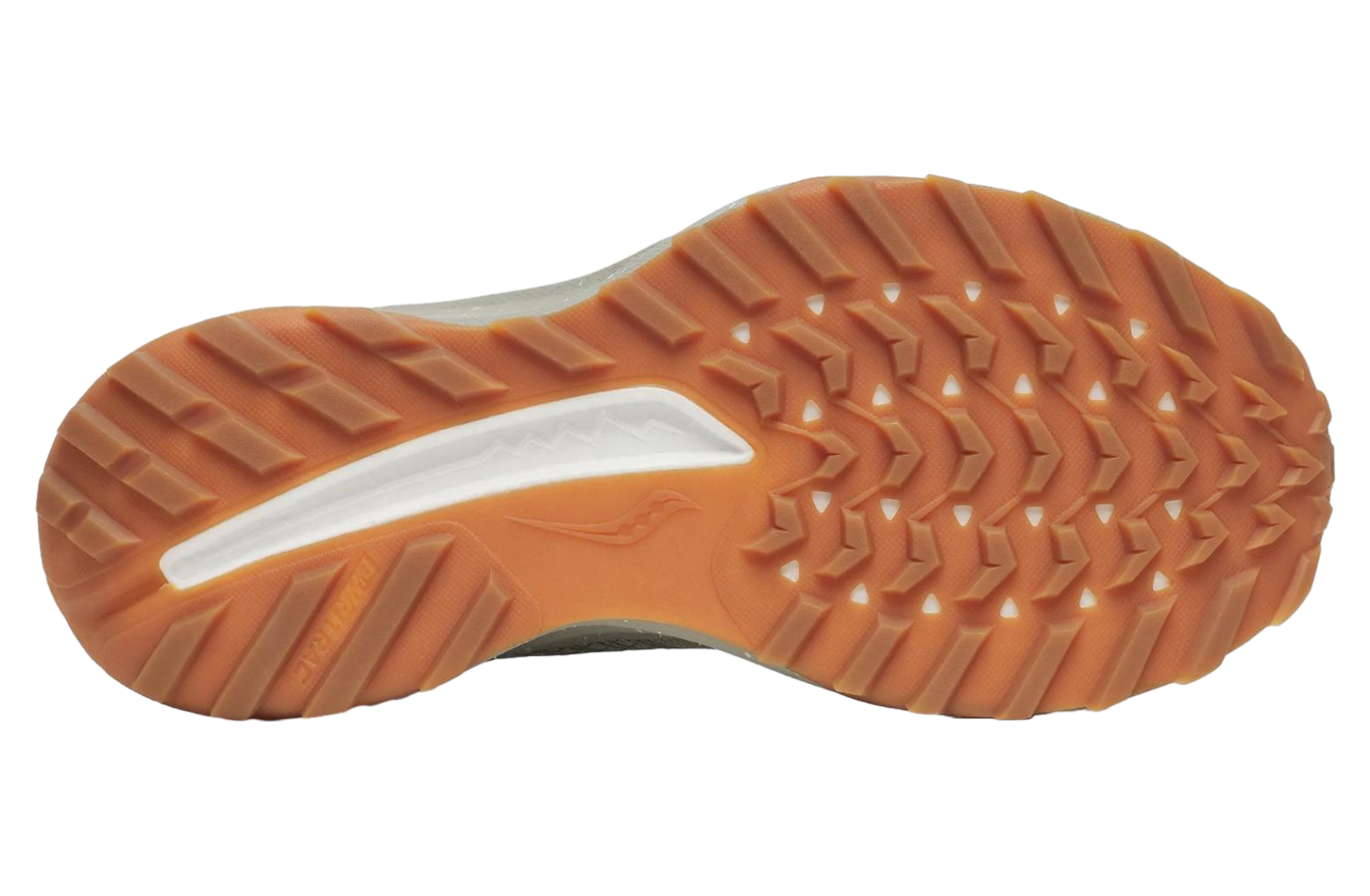 Saucony Ride Tr2 Birch / Silver