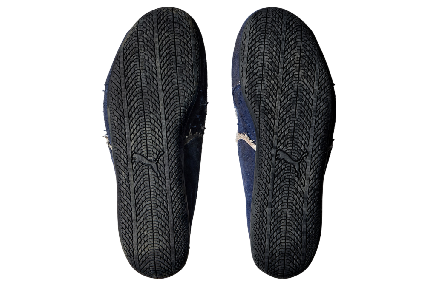 Speedcat Suede Balenciaga Navy / White