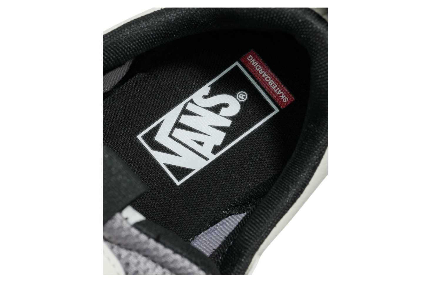 Vans Skate Mixxa Frost Grey