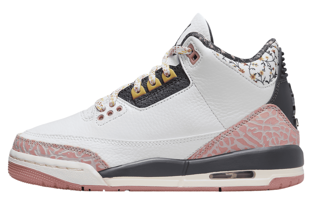 Air Jordan 3 GS Red Stardust