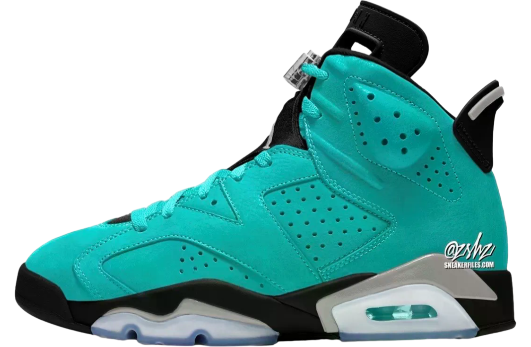 Air Jordan 6  Light Aqua / Multi