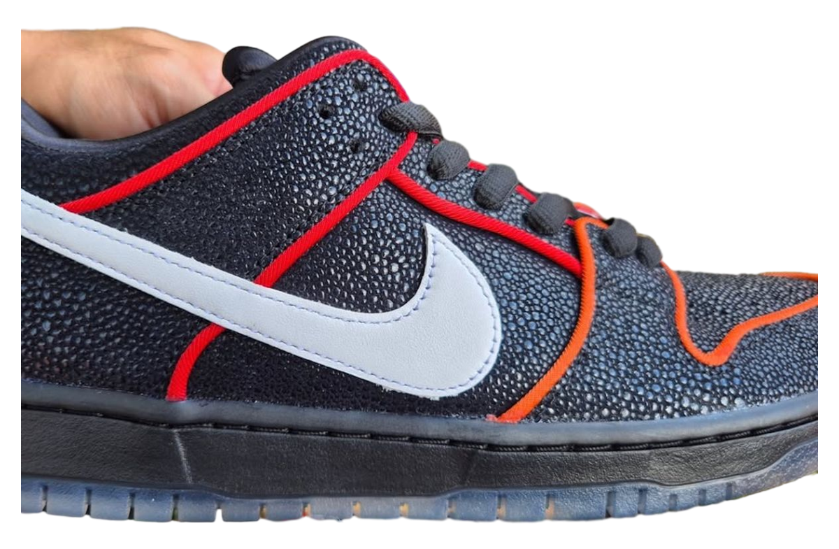 Bronx Girls Skate X Nike Sb Dunk Low