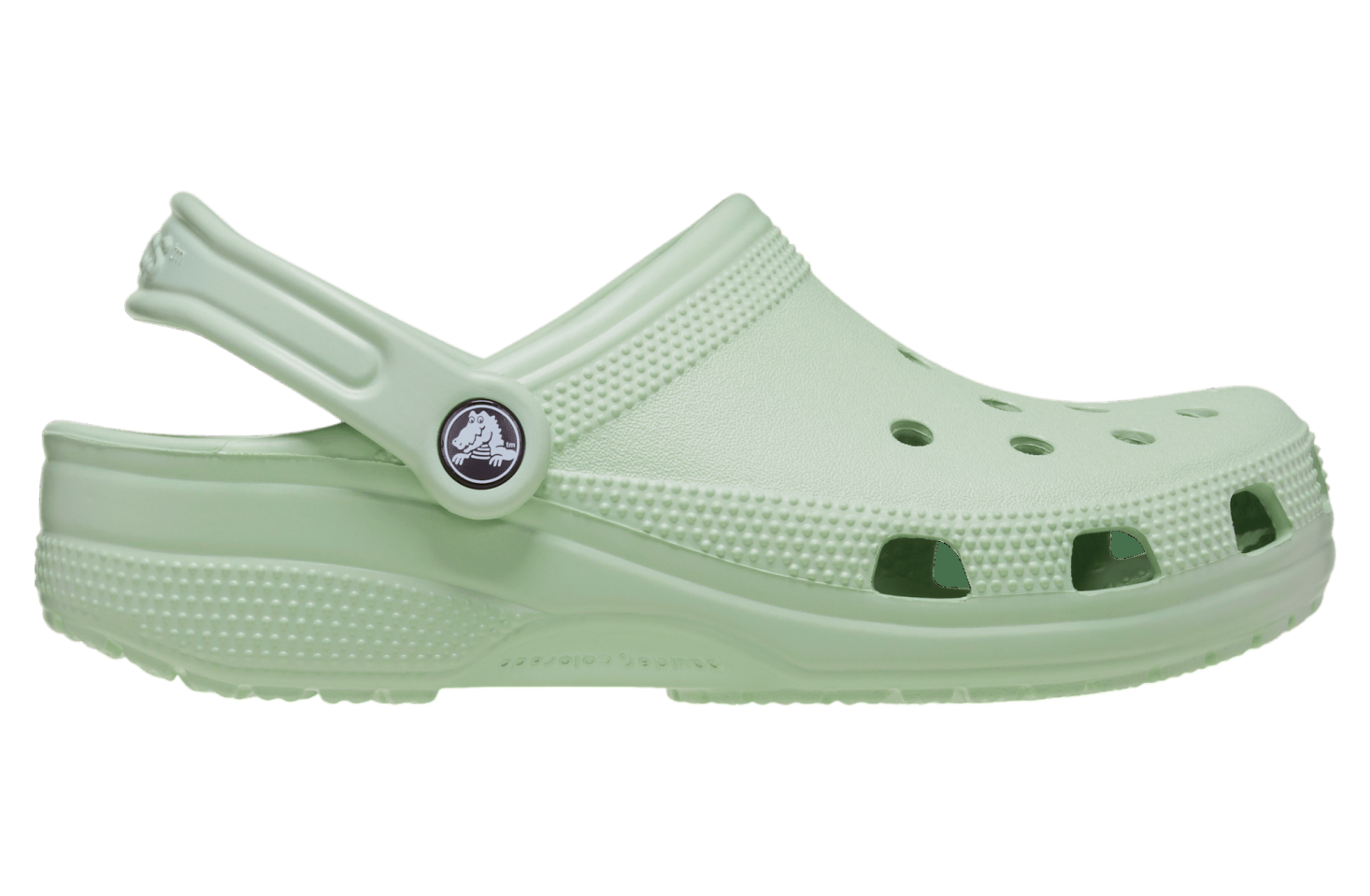 Crocs Classic Clog Plaster