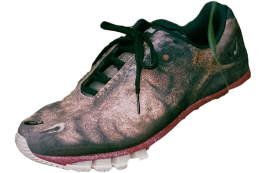 Doublet x Asics Gel-Quantum 360 Tyrannosaurus Rex