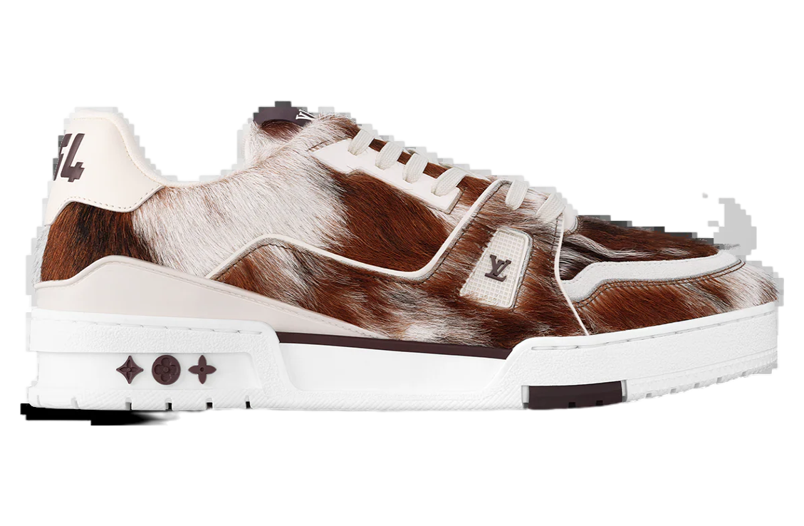 Louis Vuitton LV Trainer White / Brown