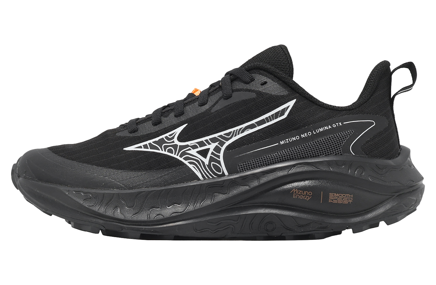 Mizuno Neo Lumina GTX WMNS Black / Silver