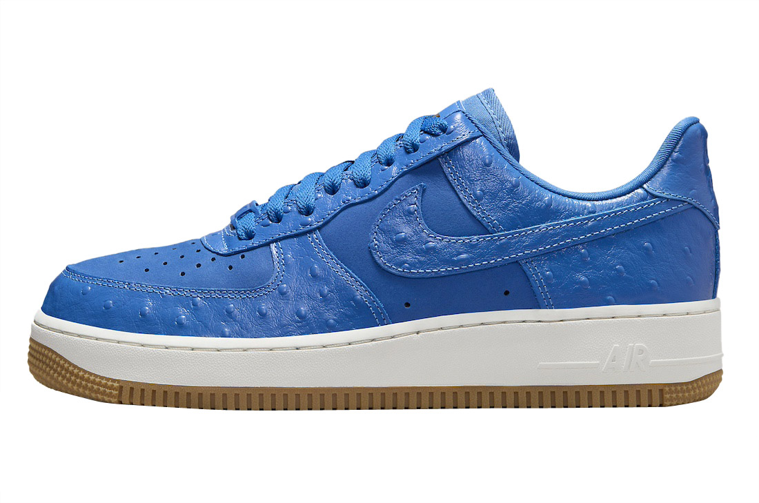 Nike Air Force 1 Low Blue Ostrich DZ2708-400