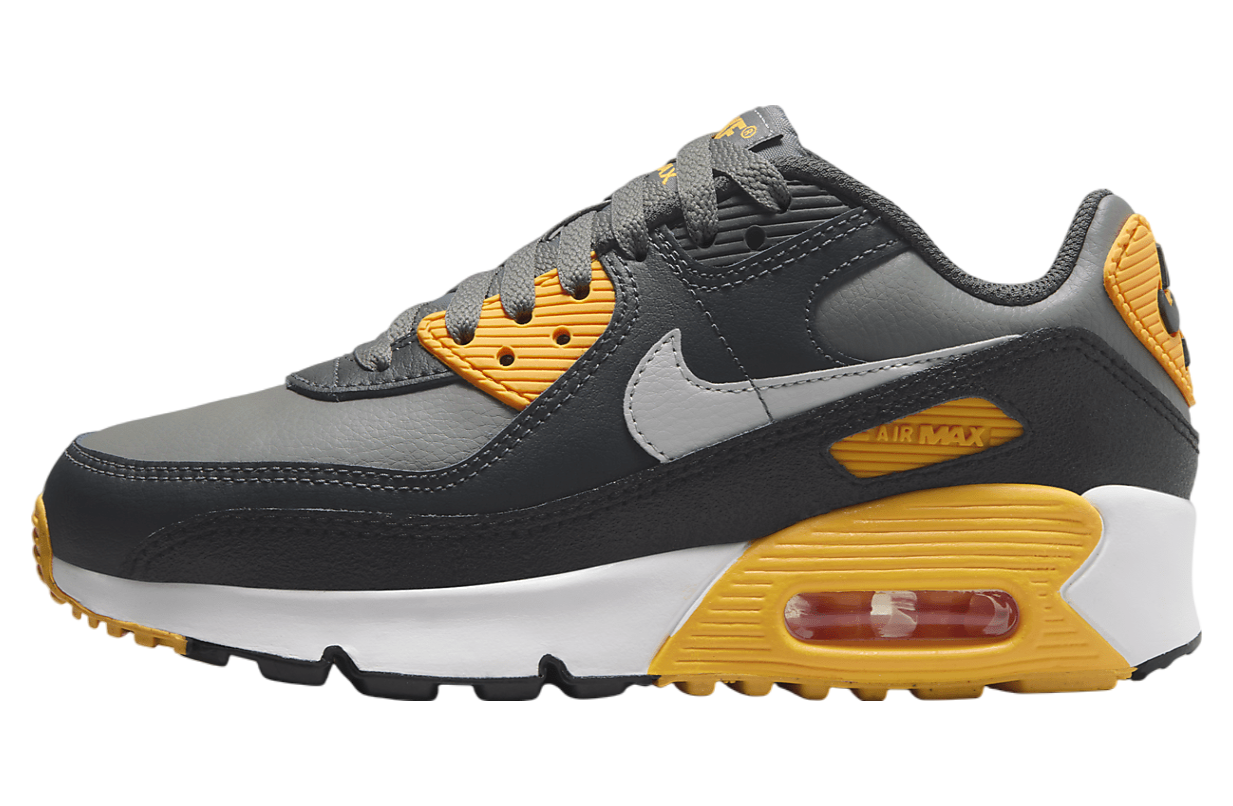 Nike Air Max 90 GS Smoke Grey / Anthracite