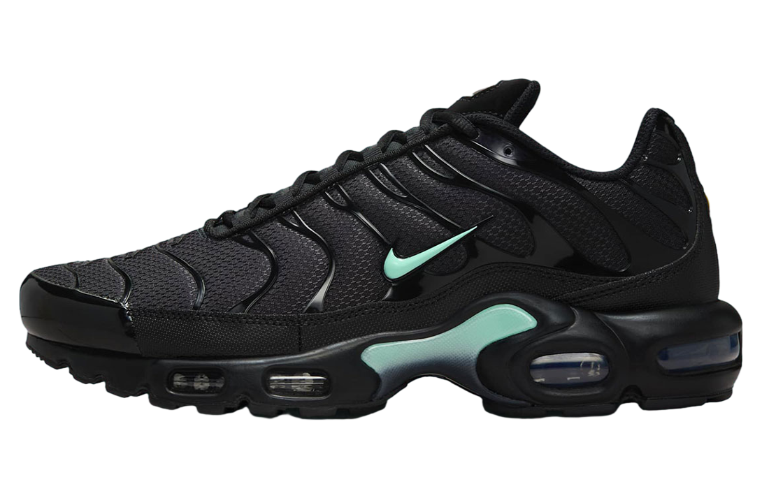 Nike Air Max Plus Black / Mint