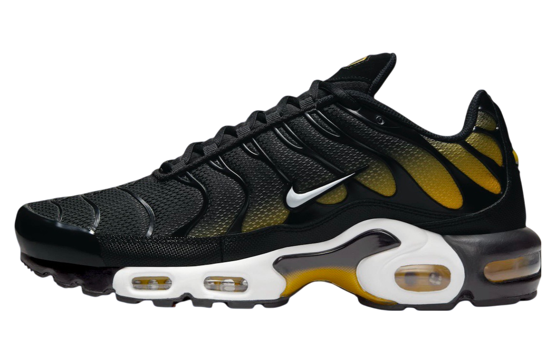 Nike Air Max Plus Black / University Gold