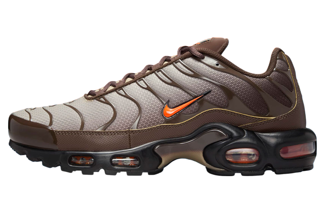 Nike Air Max Plus Brown / Orange