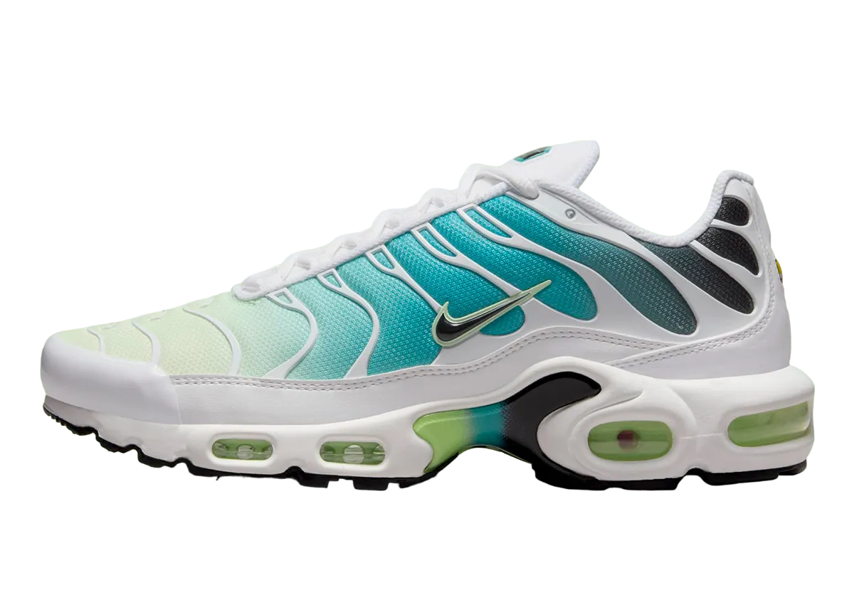 Nike Air Max Plus Dusty Cactus