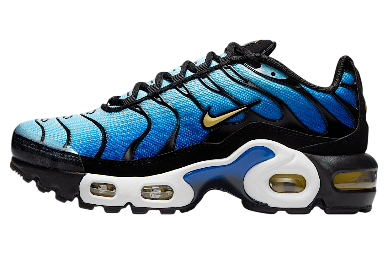 Nike Air Max Plus GS Black / Sky Blue