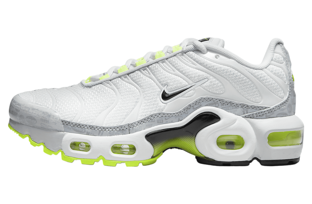 Nike Air Max Plus GS Pure Platinum / Wolf Grey