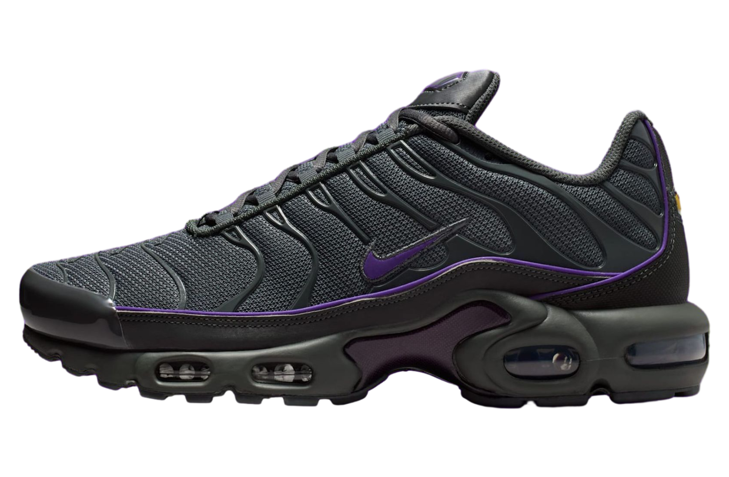 Nike Air Max Plus Iron Grey / Wild Grape
