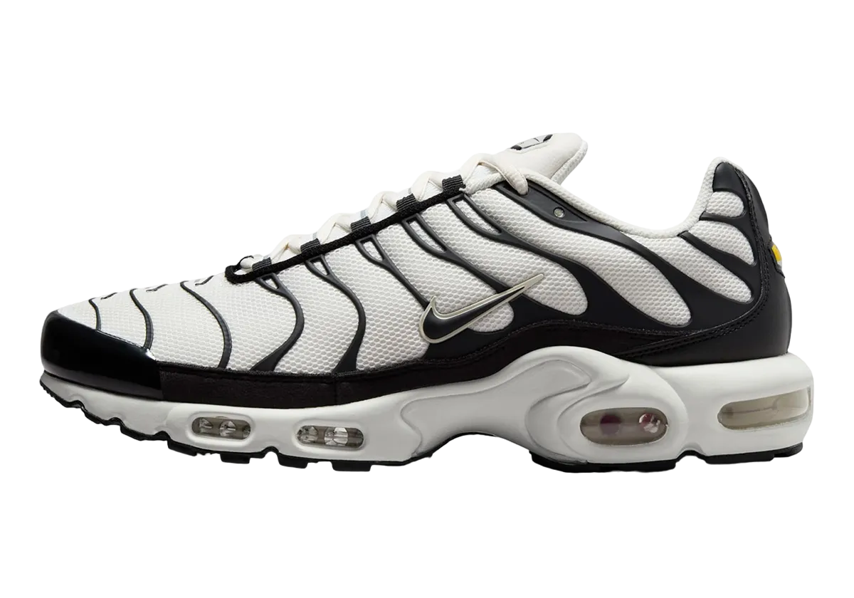 Nike Air Max Plus Panda