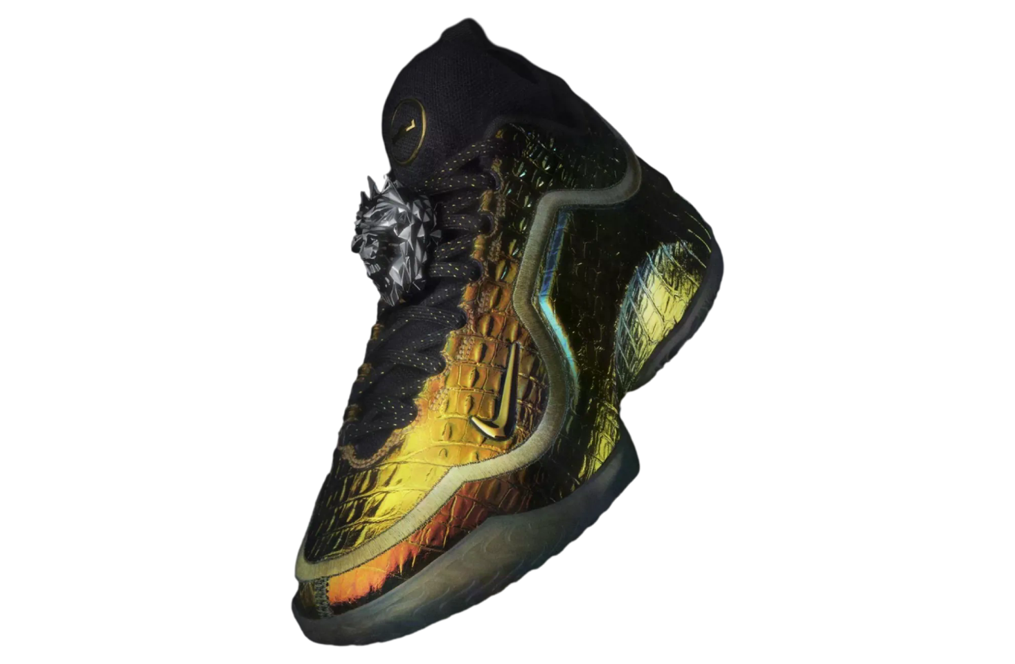 Nike Lebron 23 Warning Label