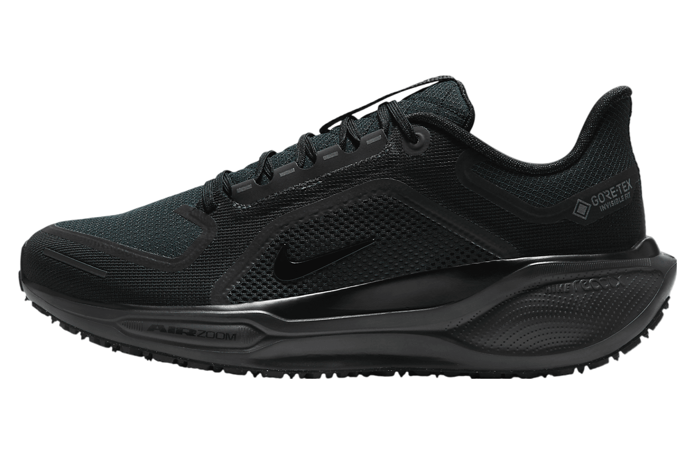 Nike Pegasus 41 Gore-Tex Black / Anthracite / Black