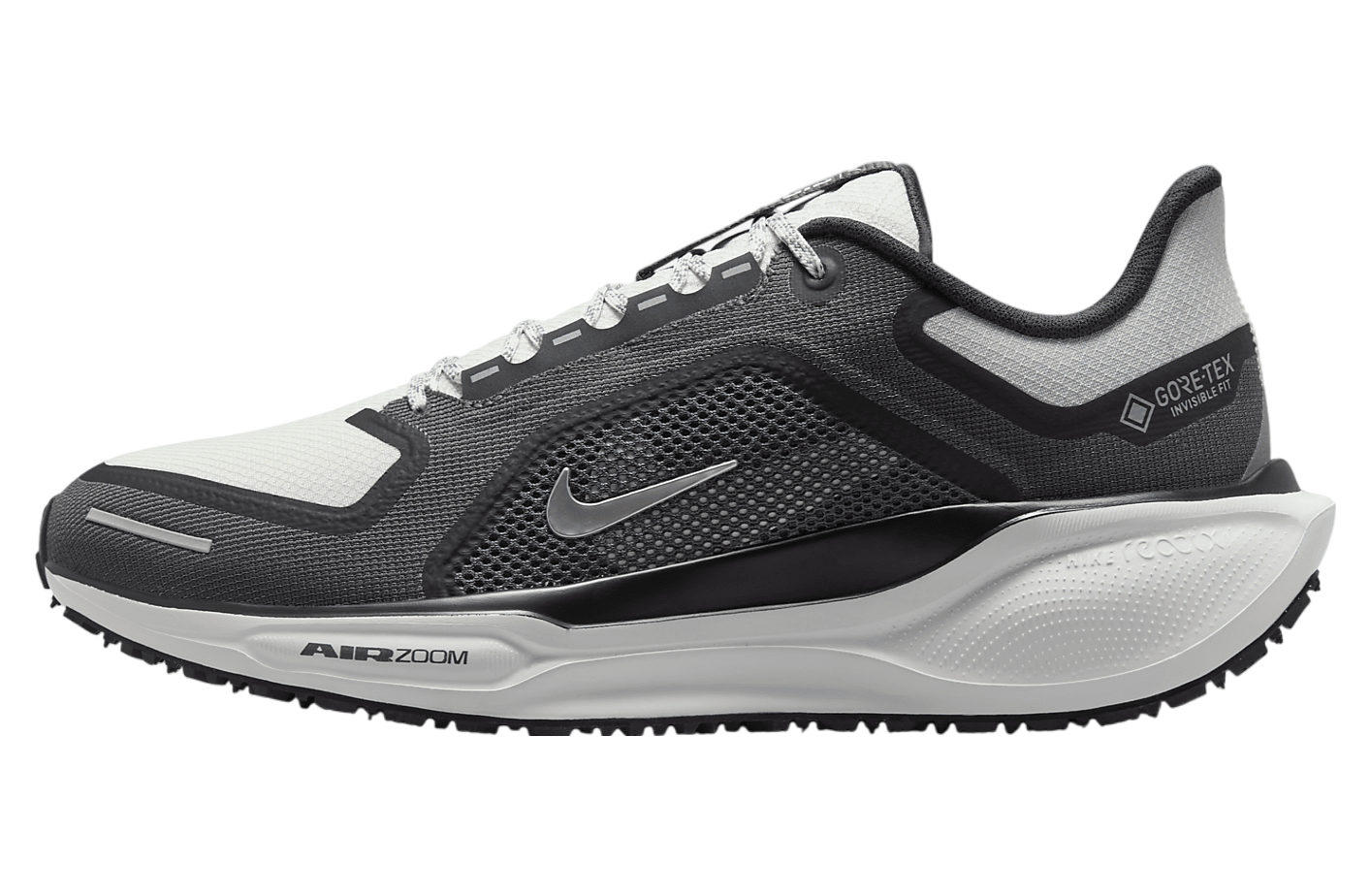 Nike Pegasus 41 Gore-Tex Black / Anthracite