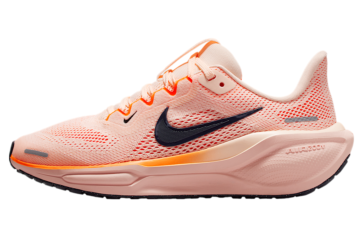 Nike Pegasus 41 Gs Crimson Tint / Washed Coral