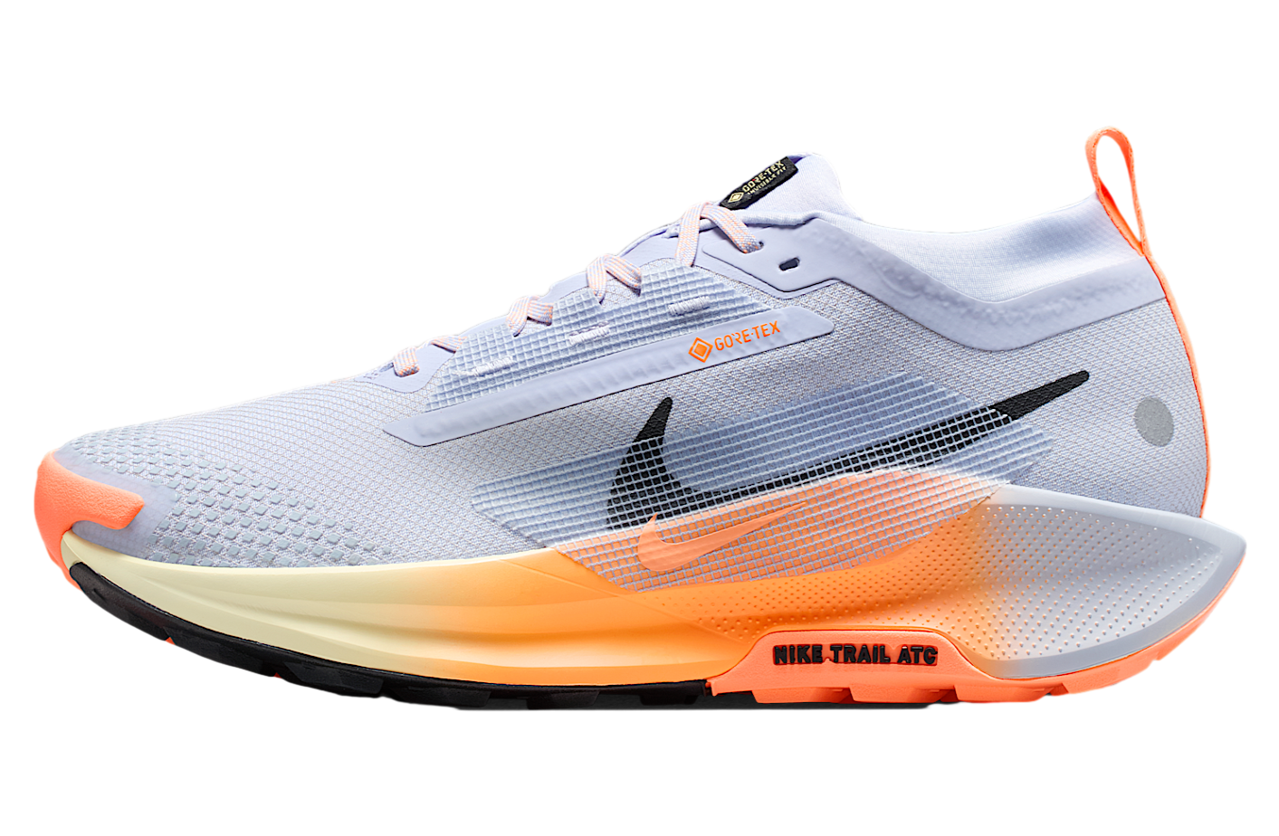 Nike Pegasus Trail 5 Gore-Tex Ghost / Malt