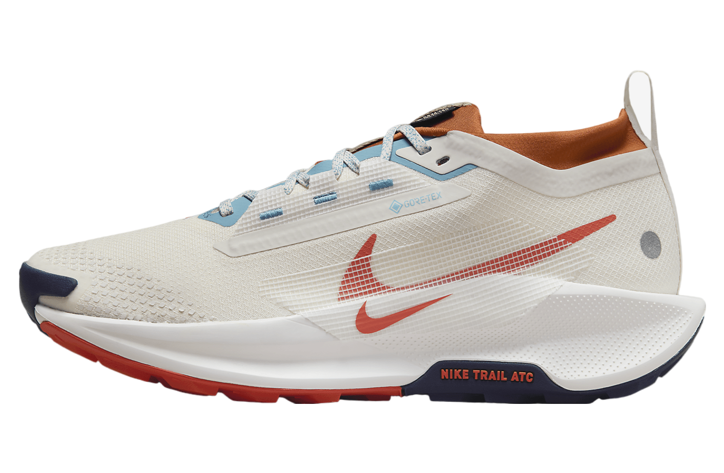 Nike Pegasus Trail 5 GORE-TEX Phantom / Dark Russet