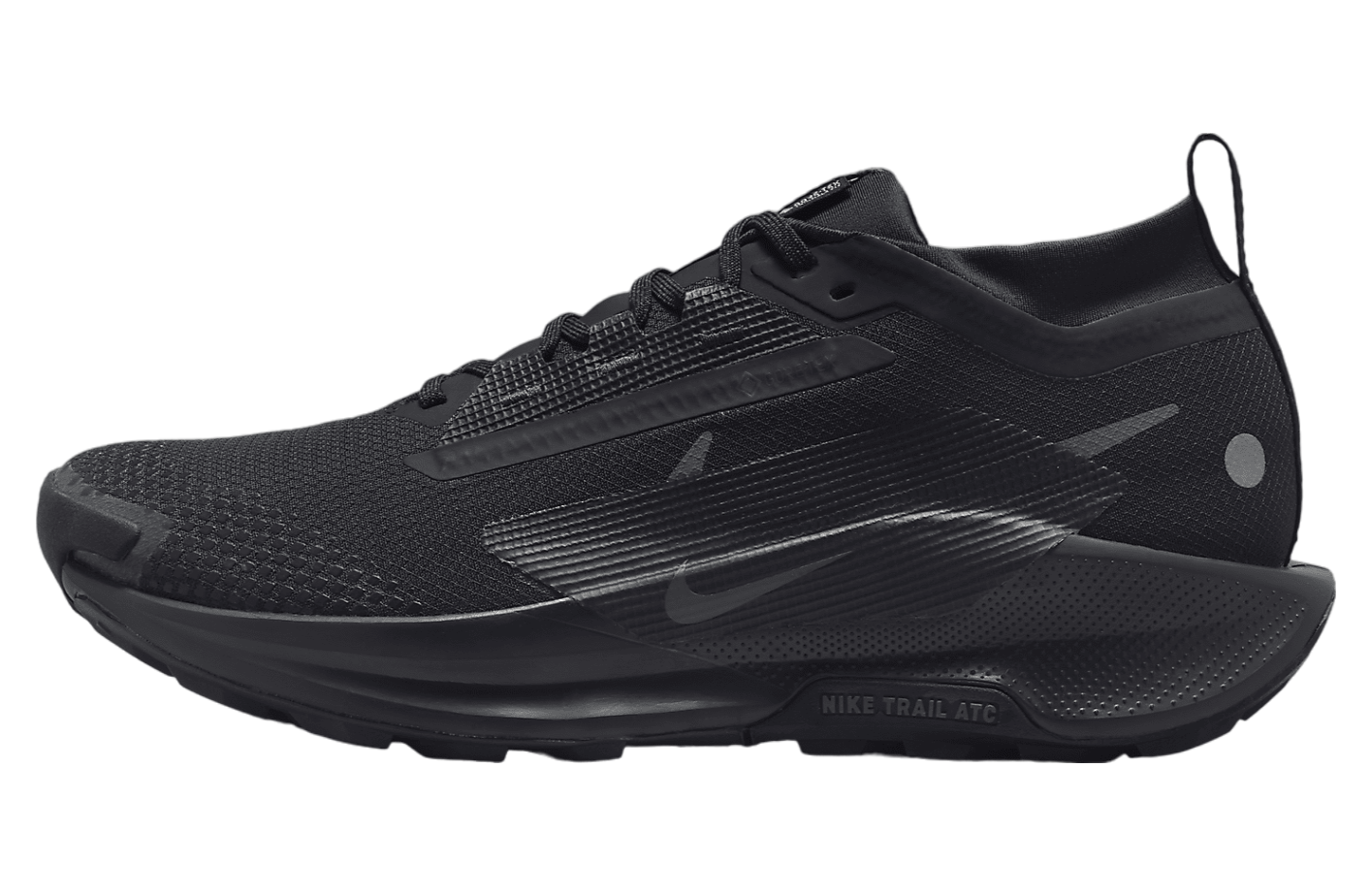 Nike Pegasus Trail 5 GORE-TEX Triple Black