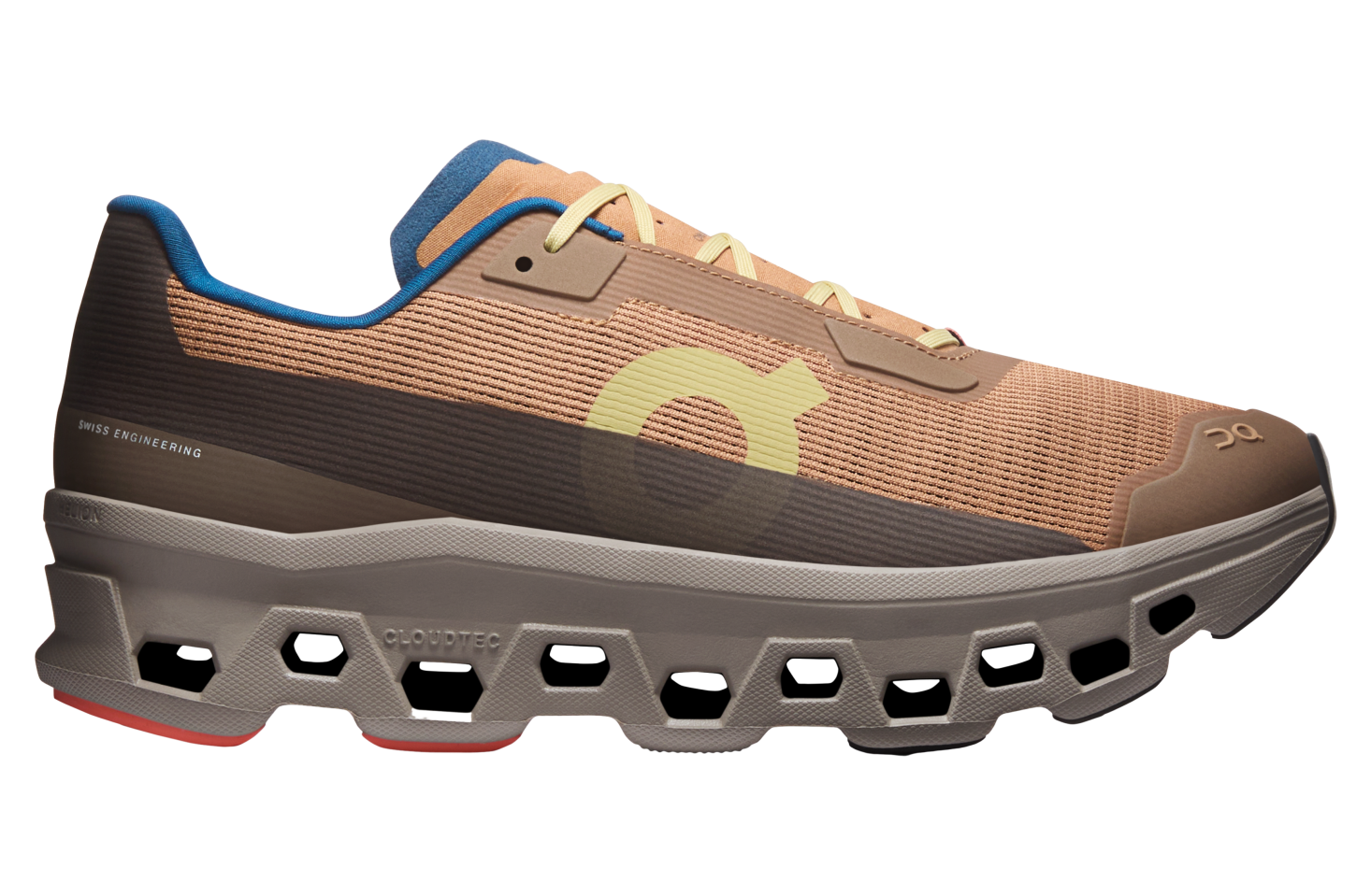 On Cloudmonster Void Sphinx / Cinder