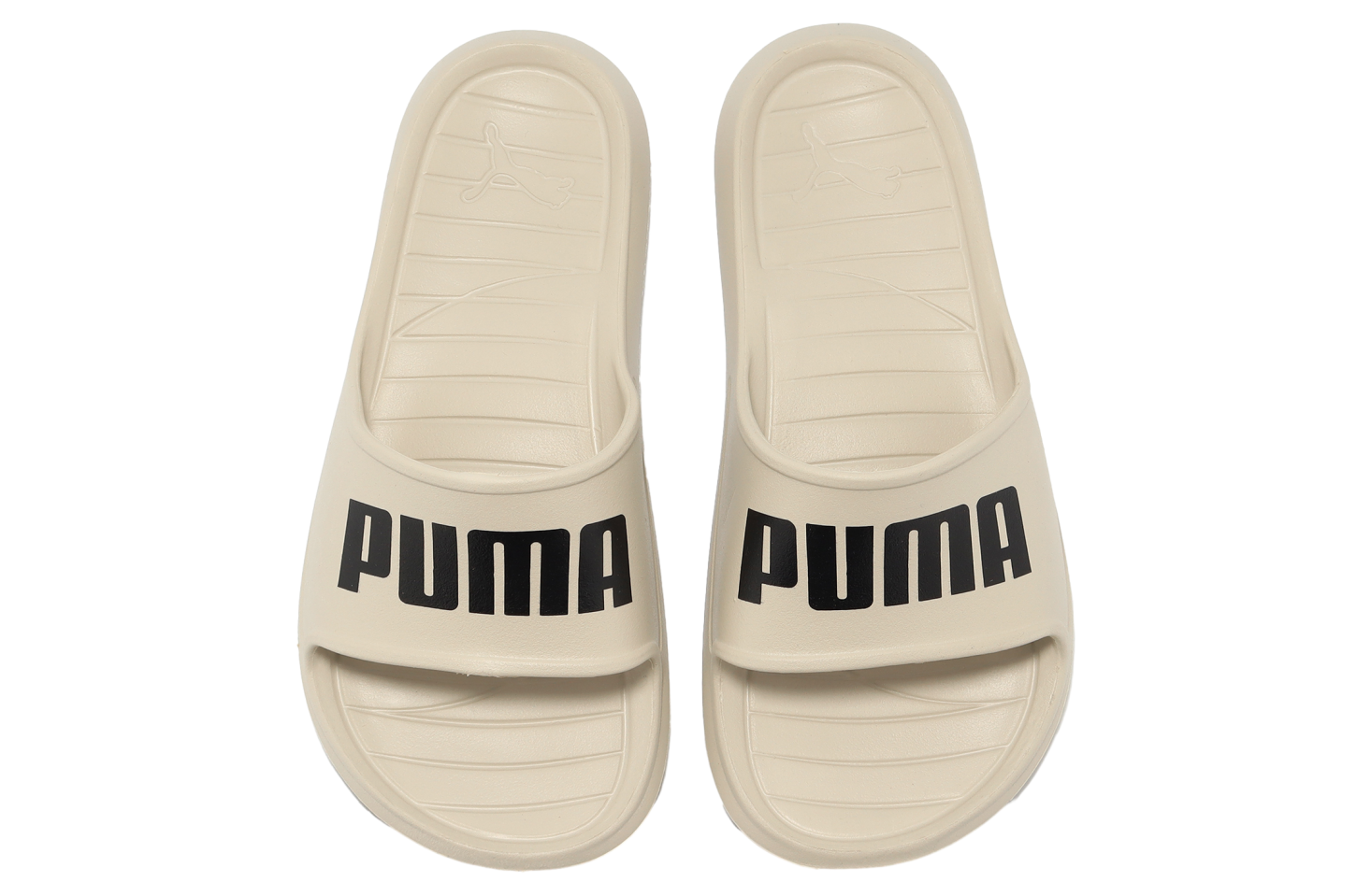 Puma Divecat V2 Lite Putty / Black