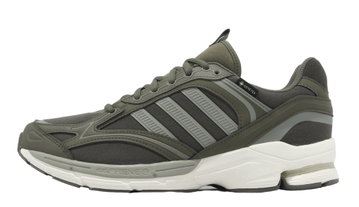 Adidas Spiritain 2000 GTX Sha Olive / Sil Peb Sha Olive/Sil Peb/Olive Strata IF9079