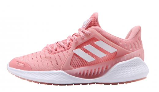 adidas WMNS Climacool Vent Glory Pink Cloud White Glory Pink / Cloud White / Cloud White EG1119