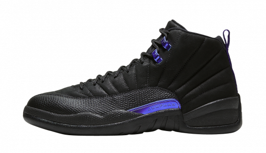 Air Jordan 12 Black Concord Black/Black-Dark Concord CT8013-005