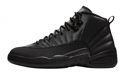 Air Jordan 12 Winterized Black Black/Black-Anthracite BQ6851-001