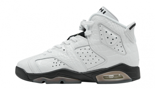 Air Jordan 6 GS Alligator White/Black-Alligator 384665-110