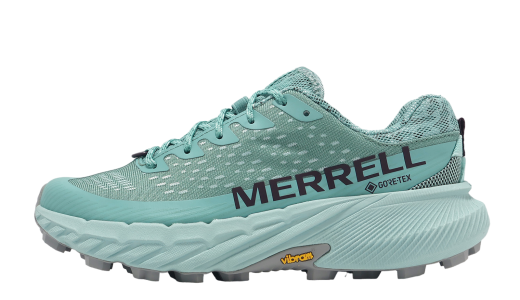 Merrell Agility Peak 5 GTX Canton Canton ML068258