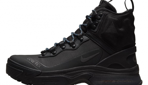 Nike ACG Zoom Gaiadome Gore-Tex Black Black/Black DD2858-001