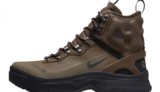 Nike ACG Zoom Gaiadome Gore-TexTrails End Brown Trails End Brown/Black DD2858-200