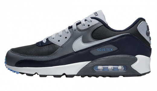 Nike Air Max 90 Gore-Tex Anthracite Pure Platinum Anthracite/Pure Platinum DJ9779-004