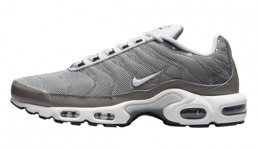 Nike Air Max Plus Flat Pewter Flat Pewter/White-Photon Dust-Black DV7665-002