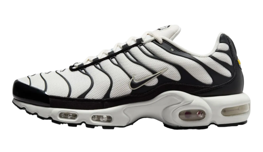 Nike Air Max Plus Panda White/Black FV6264-001