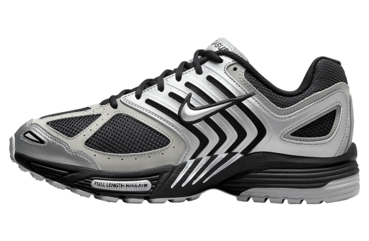 Nike Air Pegasus 2k5 Metallic Silver / Metallic Platinum Metallic Silver/Metallic Platinum/Flat Silver/Black HQ5403-001